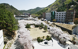 영산대학교 모습
